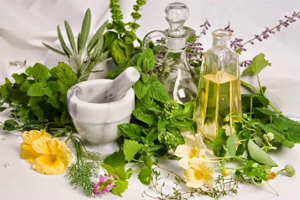 Xu hướng chăm sóc da thuần chay ưu tiên các thành phần tự nhiên