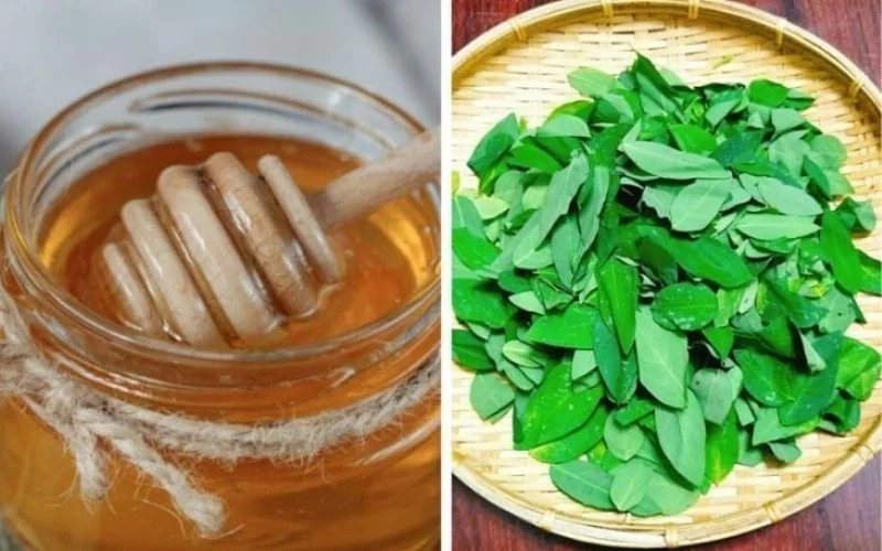 Trong lĩnh vực làm đẹp, rau ngót đã trở thành nguyên liệu tự nhiên được đánh giá cao trong cách trị nám bằng rau ngót