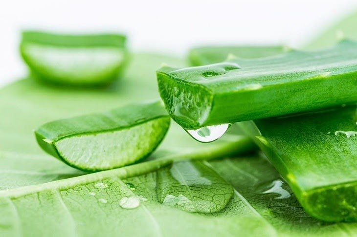 Cách trị nám da tại nhà với những nguyên liệu tự nhiên quen thuộc