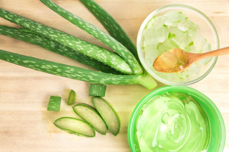 Kết hợp nha đam dưỡng da mùa thu cùng các phương pháp chăm sóc da khác