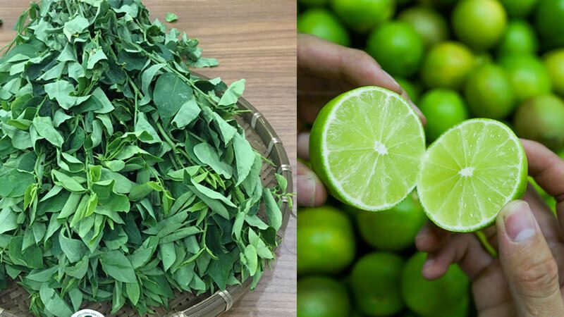 Tham khảo lời khuyên hữu ích khi trị nám bằng rau ngót
