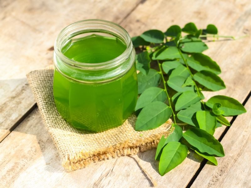 Trong rau ngót có chứa nhiều vitamin như vitamin A, C, E và các khoáng chất vi lượng giúp tái sinh tế bào da.