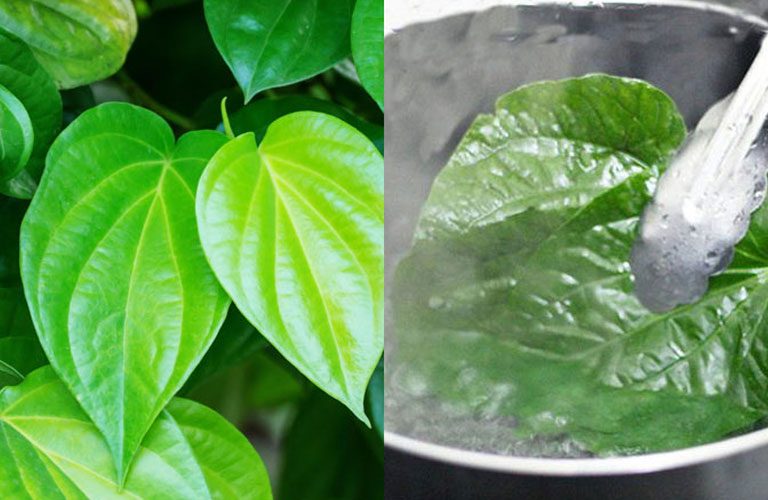 Việc sử dụng lá trầu trị nám cần được thực hiện đều đặn và kiên trì trong thời gian dài để được kết quả tốt nhất.