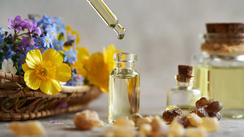 việc duy trì độ ẩm đầy đủ trong mùa đông là yêu cầu thiết yếu.