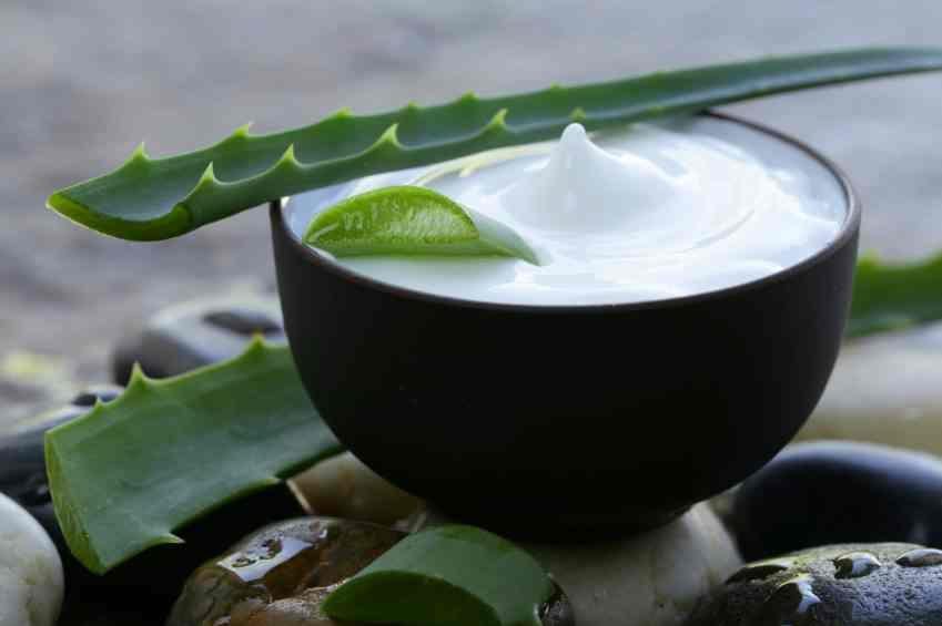 Dưỡng ẩm tự nhiên có thể bắt nguồn từ các nguyên liệu lành tính quen thuộc.