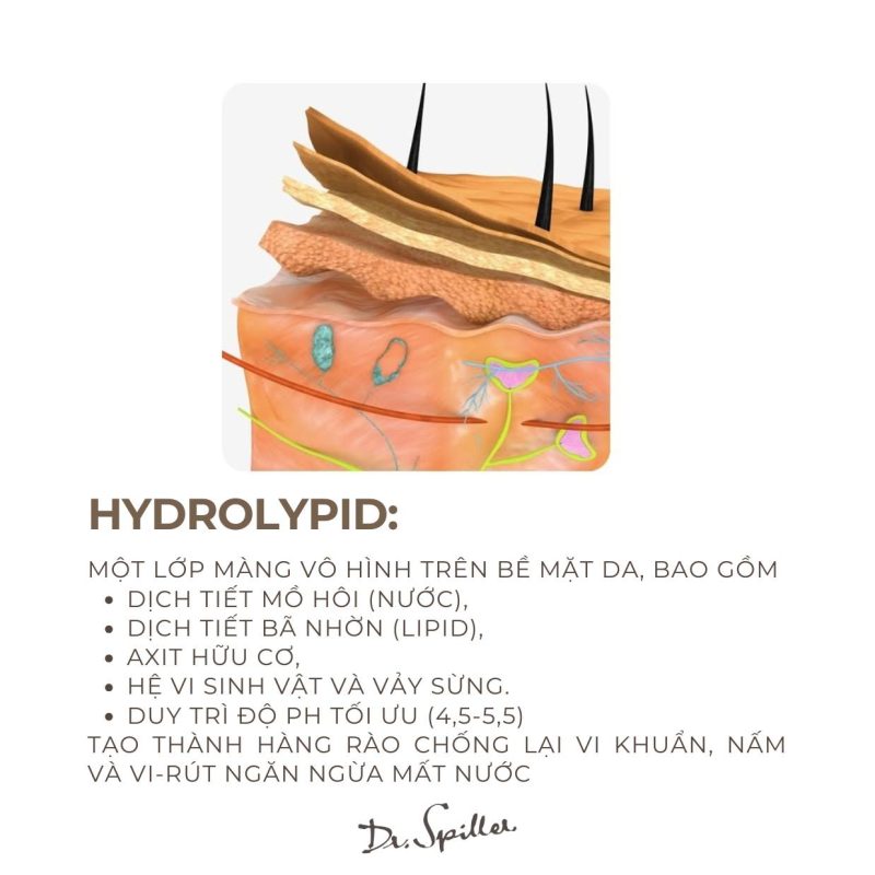 Lựa chọn mỹ phẩm sinh học phục hồi hàng rào bảo vệ da để duy trì làn da khỏe mạnh