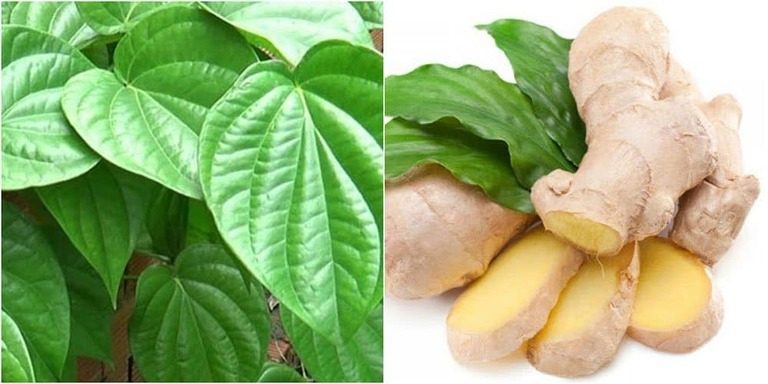 Mặc dù trị nám bằng lá trầu rất an toàn, để đạt kết quả tối ưu, bạn cần kết hợp chế độ chăm sóc toàn diện
