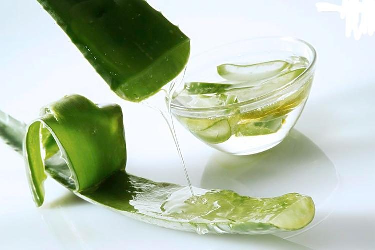 Chiết xuất nha đam chăm sóc da hiện nay ngày càng được ưa chuộng nhờ tính thiên nhiên và hiệu quả vượt trội.