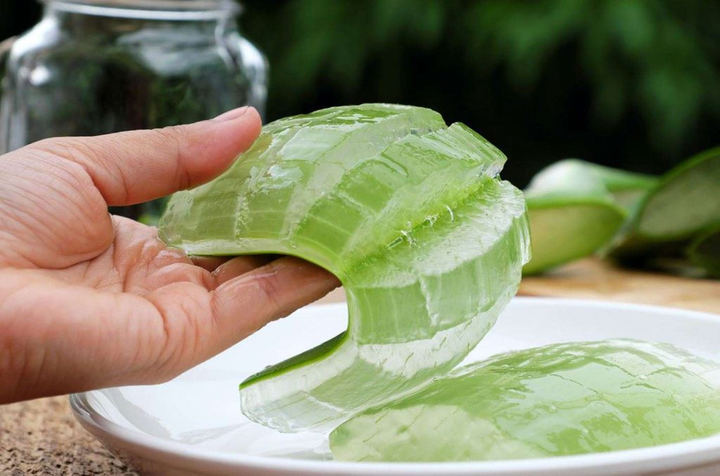 Phục hồi tóc hư tổn bằng nha đam tươi không chỉ mang lại tác dụng tức thì mà còn duy trì hiệu quả lâu dài.