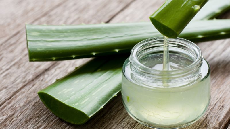 Phục hồi tóc hư tổn bằng nha đam tươi là lựa chọn đẳng cấp dành cho những ai muốn chăm sóc mái tóc khỏe đẹp tự nhiên