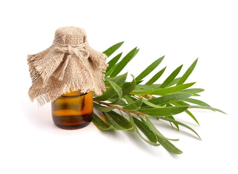 Serum tận dụng tối đa các lợi ích từ cam thảo thiên nhiên, vừa làm sáng vừa chống viêm, giảm kích ứng tốt.