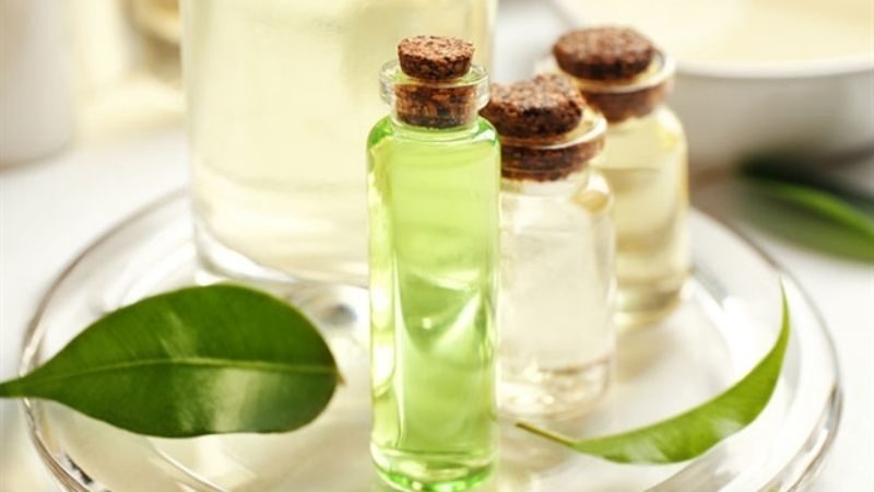 Tinh chất chiết xuất trà xanh mang lại giải pháp dưỡng da hoàn hảo