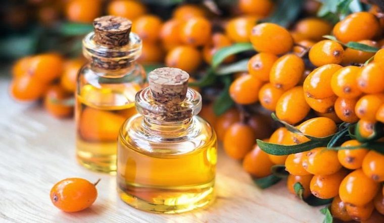 Tinh chất chiết xuất từ trái cây được tạo ra từ những nguyên liệu chọn lọc giàu vitamin