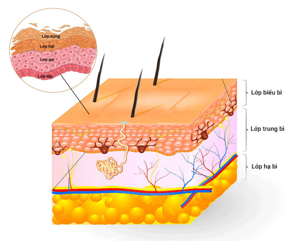 Tác dụng của làm sạch da chết – Hậu quả khôn lường nếu hiểu sai