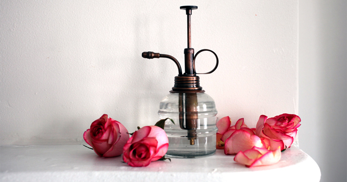 5 Cách làm nước hoa hồng tại nhà nhanh và đơn giản nhất