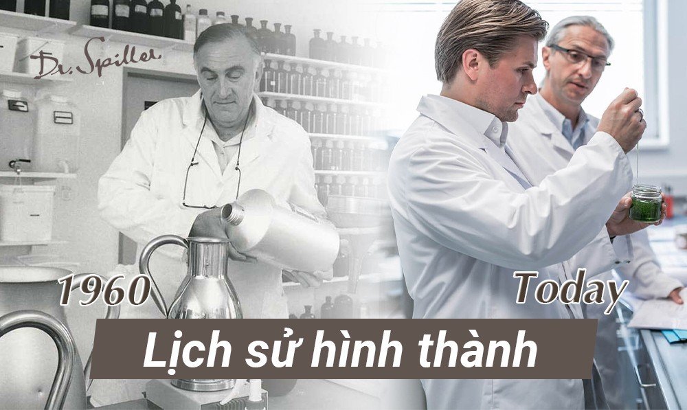 Lịch sử hình thành và phát triển