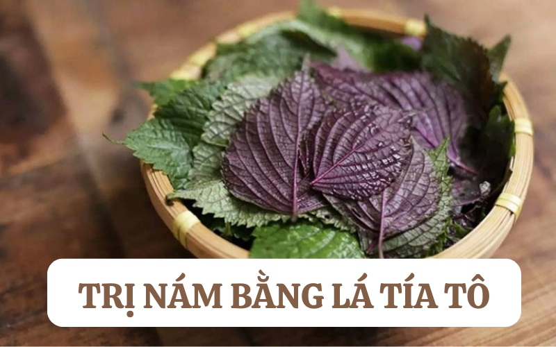 5+ Cách trị nám bằng lá tía tô cho da sáng mịn rạng rỡ