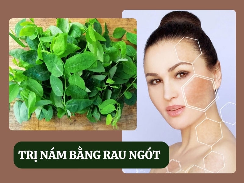 5 cách trị nám bằng rau ngót cho hiệu quả bất ngờ