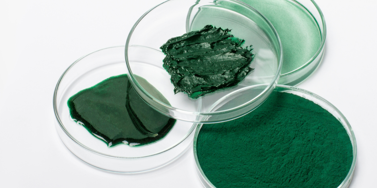 10 + cách làm mặt nạ tảo xoắn trị nám tại nhà cực đơn giản