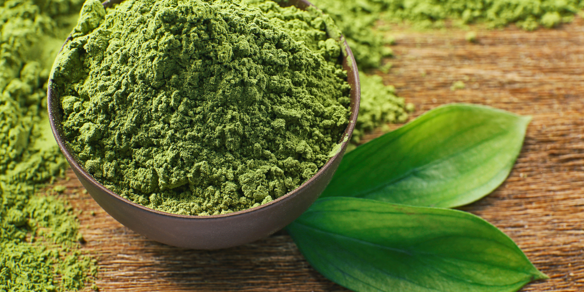 8 CÁCH LÀM MẶT NẠ RAU DIẾP CÁ TRỊ NÁM TẠI NHÀ HIỆU QUẢ