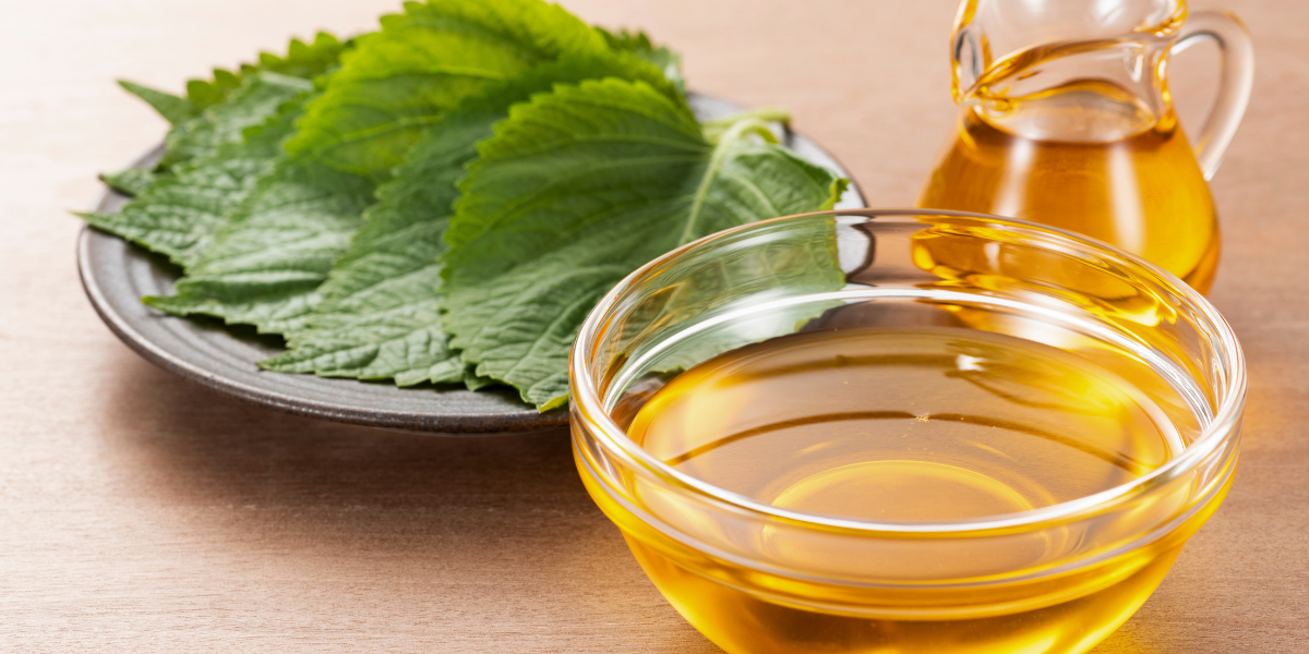 5 cách làm mặt nạ tía tô trị nám tại nhà đơn giản và hiệu quả nhất