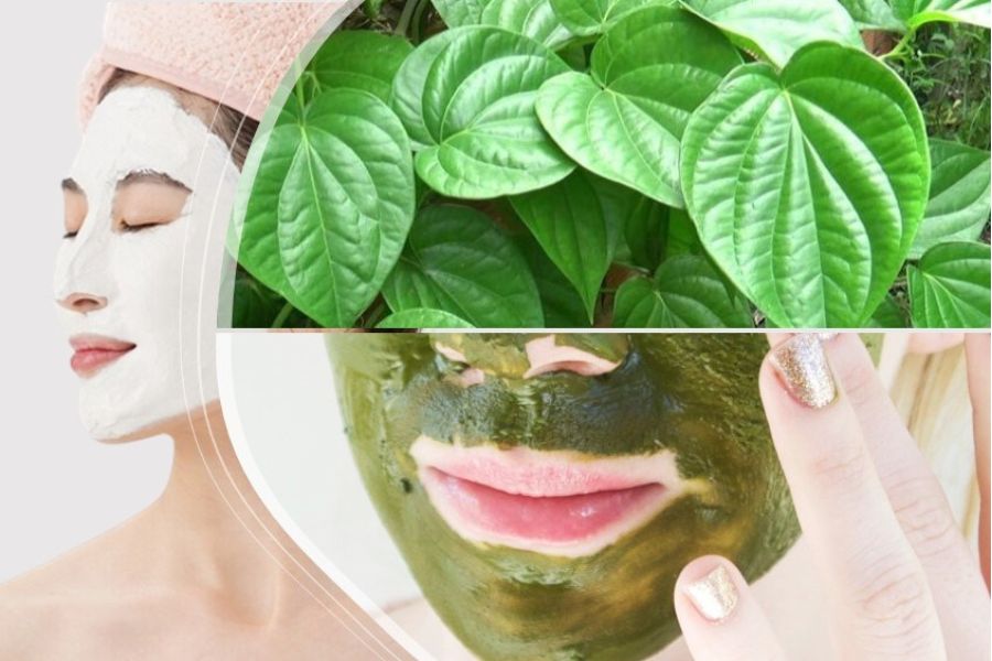 10+ Bí quyết chữa nám bằng trầu không tại nhà an toàn, hiệu quả rõ rệt