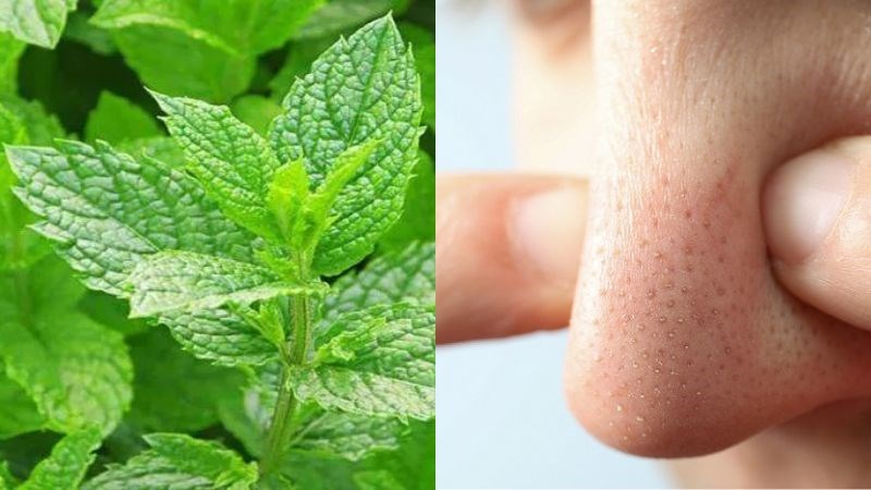 10 TIPS Trị mụn bằng lá bạc hà hiệu quả, an toàn tại nhà