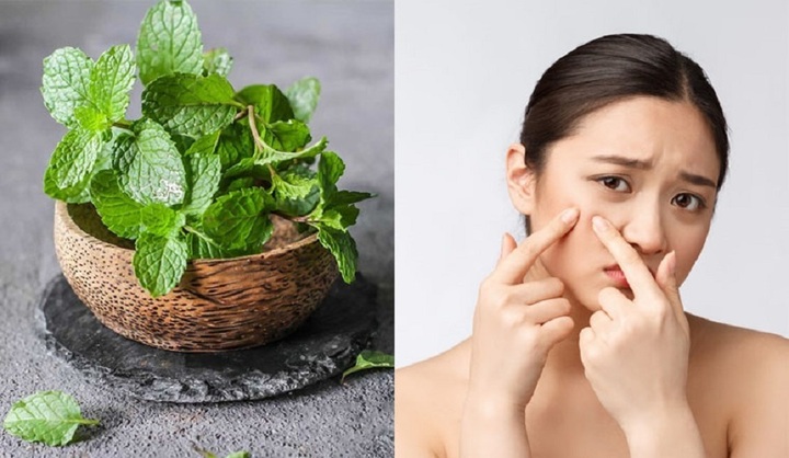 3 TIPS Trị mụn bằng lá lốt hiệu quả, an toàn và tiết kiệm tại nhà