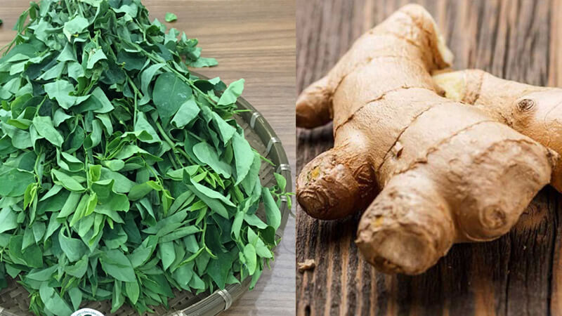 2 Cách trị nám bằng rau ngót đơn giản và hiệu quả tại nhà