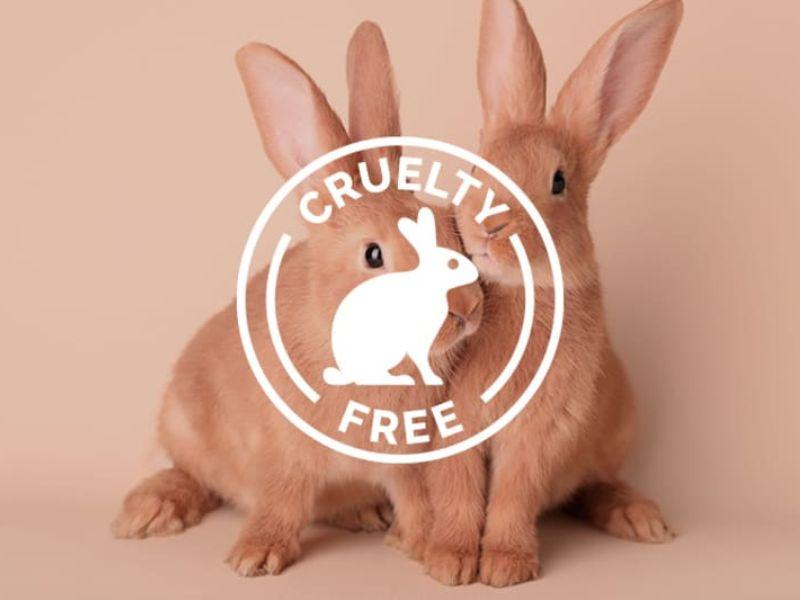 Xu hướng chăm da không thử nghiệm trên động vật đáng được lên ngôi