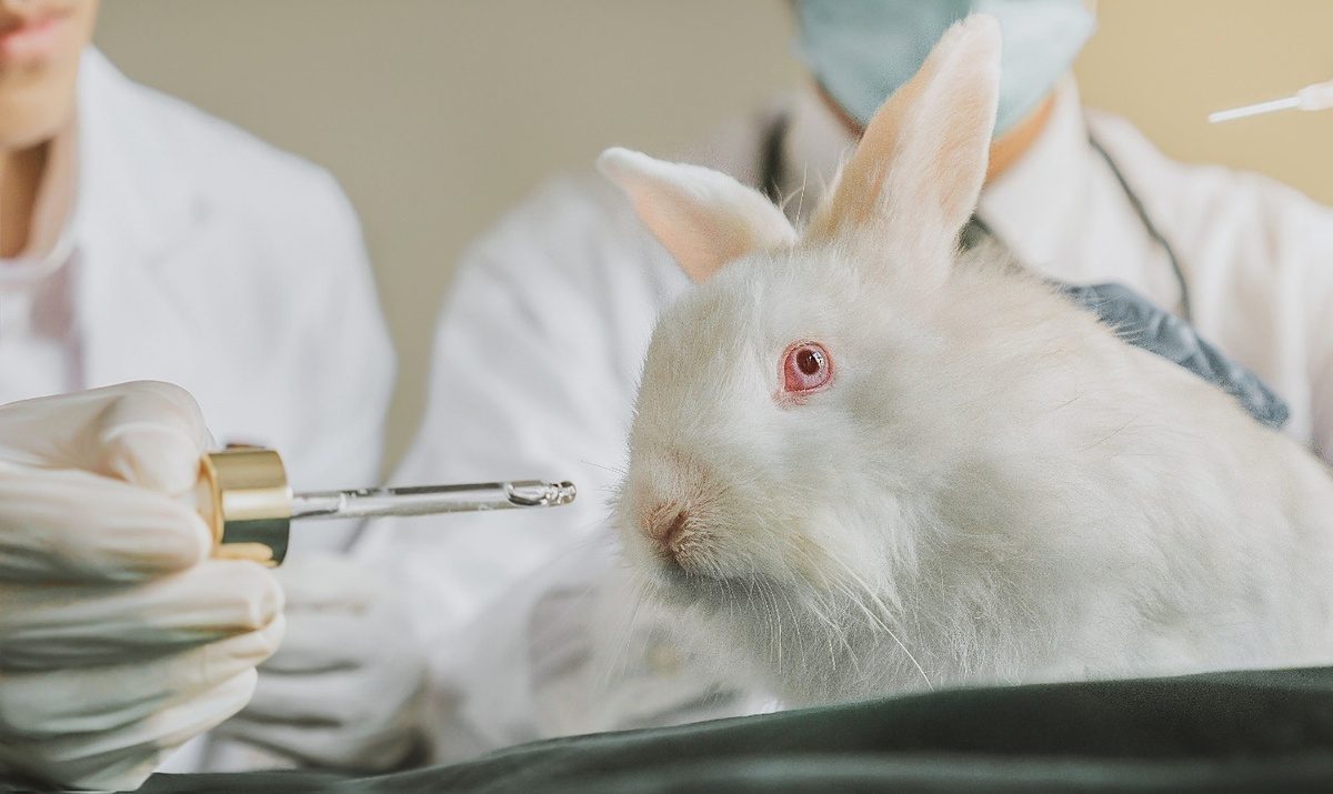 Việc nhận diện mỹ phẩm không thử nghiệm trên động vật bắt đầu bằng hiểu biết về các chứng nhận quốc tế được thừa nhận rộng rãi