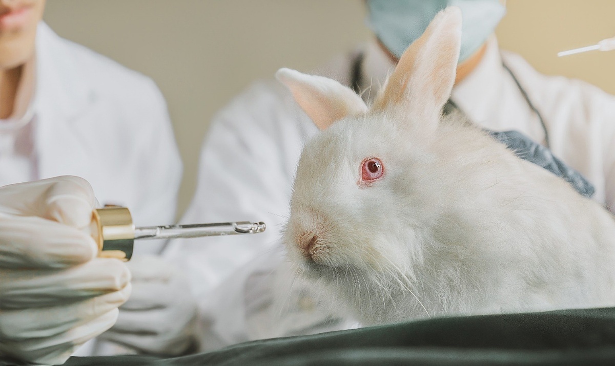 5 Cách Chọn Mỹ Phẩm Không Thử Nghiệm Trên Động Vật An Toàn